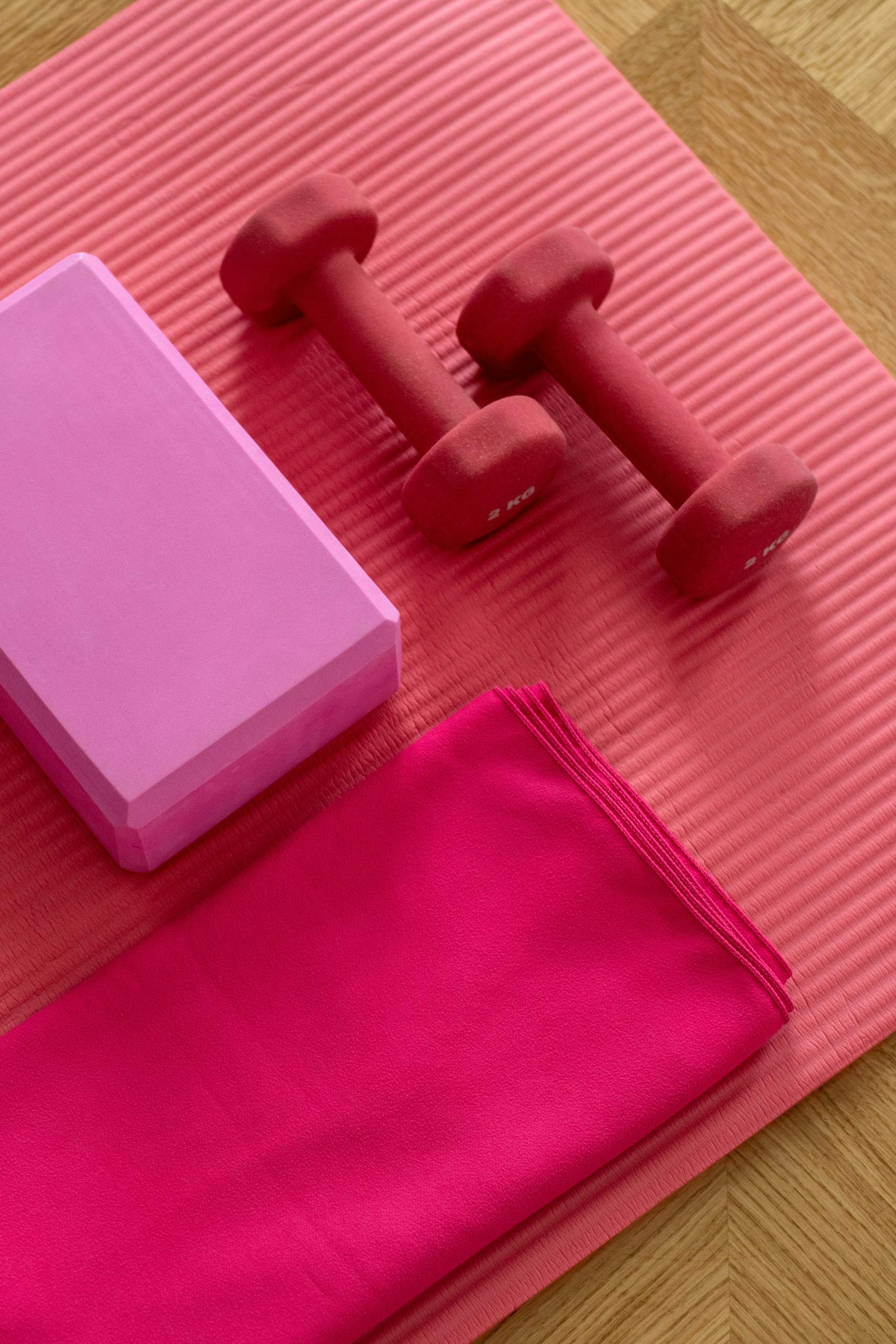 FSG-Carouge_GG_Gym